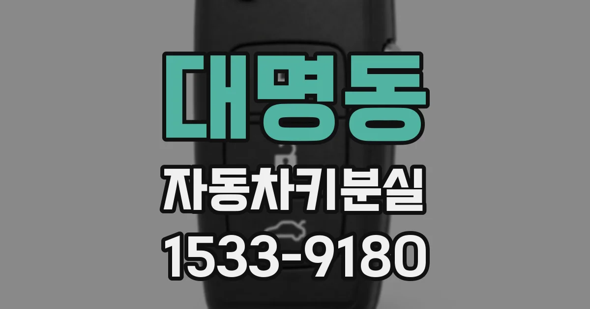 대명동 자동차키분실