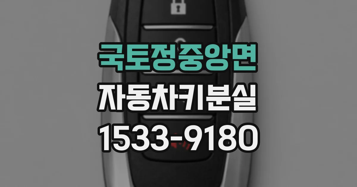 국토정중앙면 자동차키분실