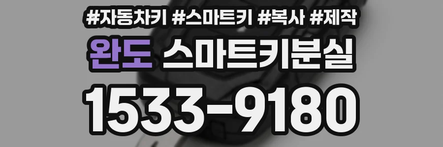 완도 스마트키분실