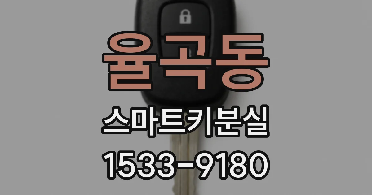 율곡동 스마트키분실