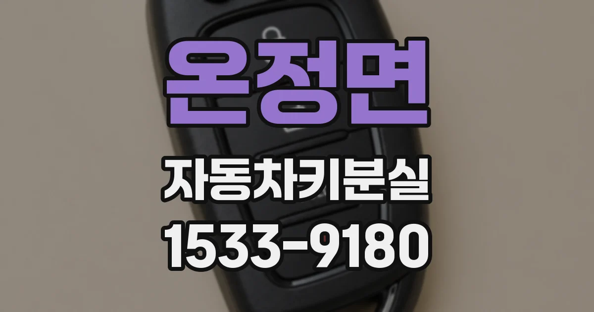 온정면 자동차키분실