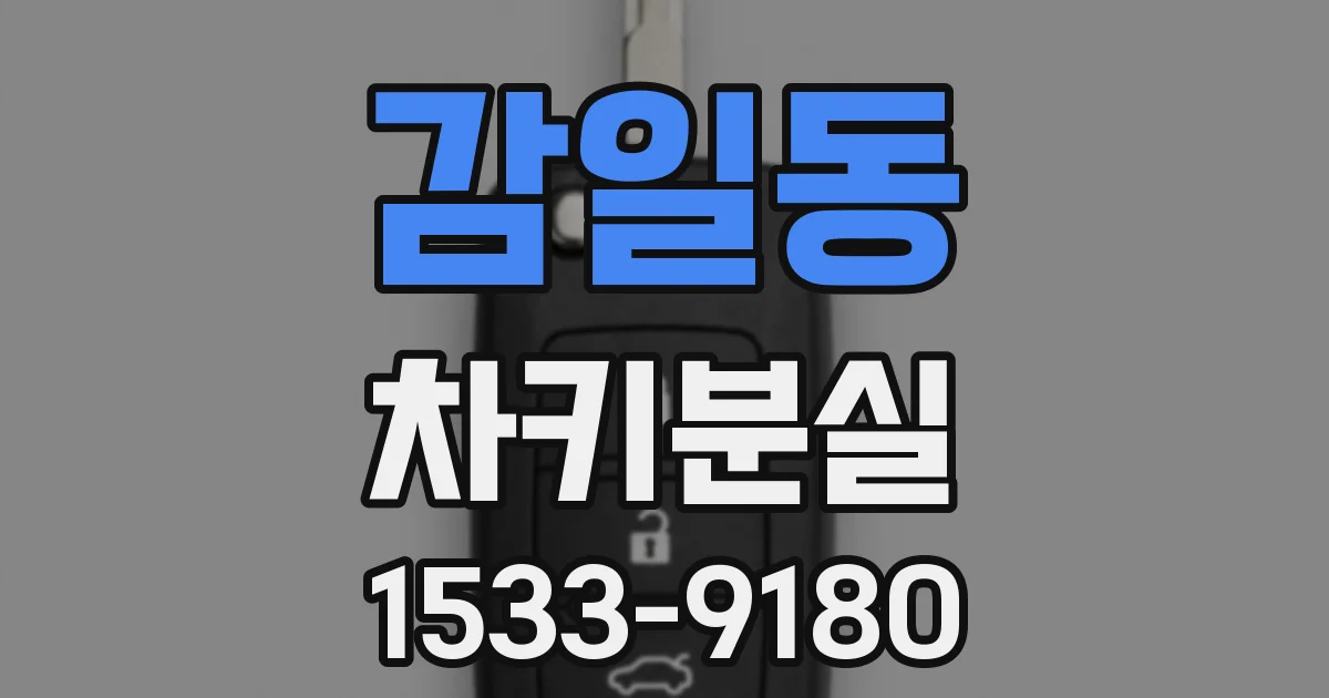 감일동 차키분실