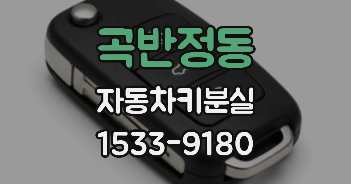 곡반정동 자동차키분실