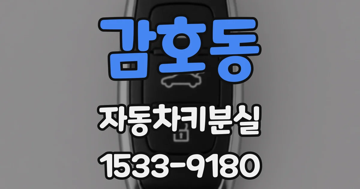 감호동 자동차키분실