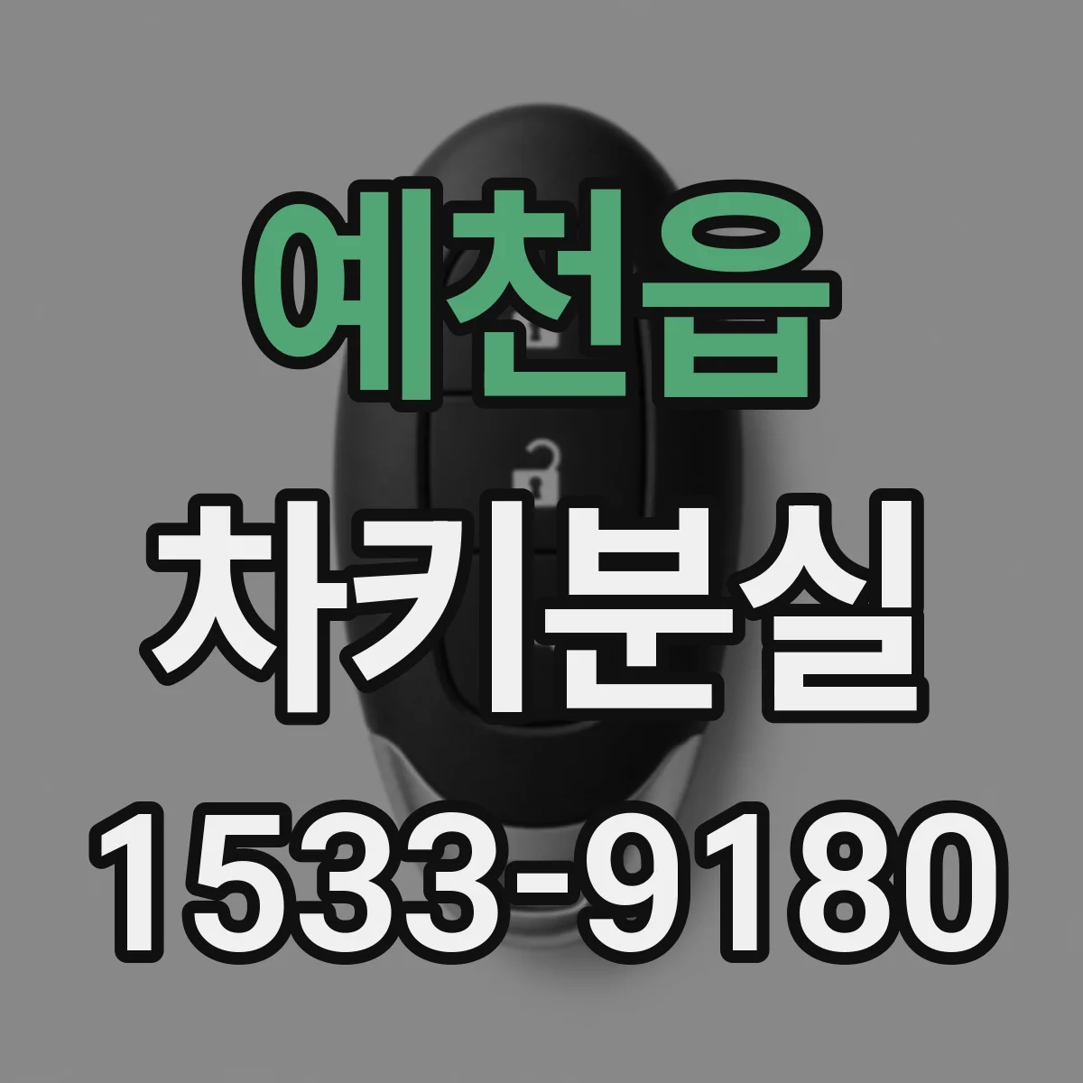 예천읍 차키분실