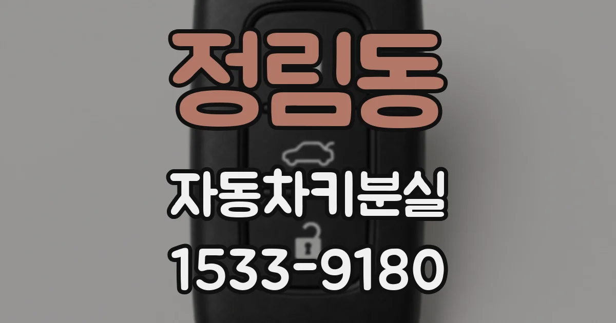 정림동 자동차키분실