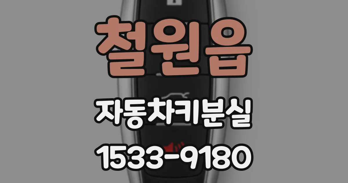 철원읍 자동차키분실