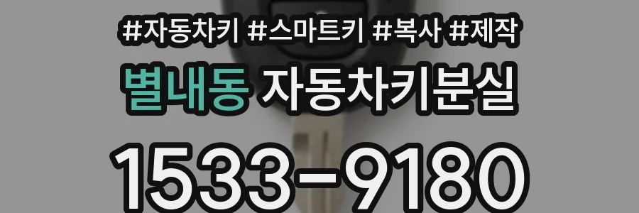 별내동 자동차키분실