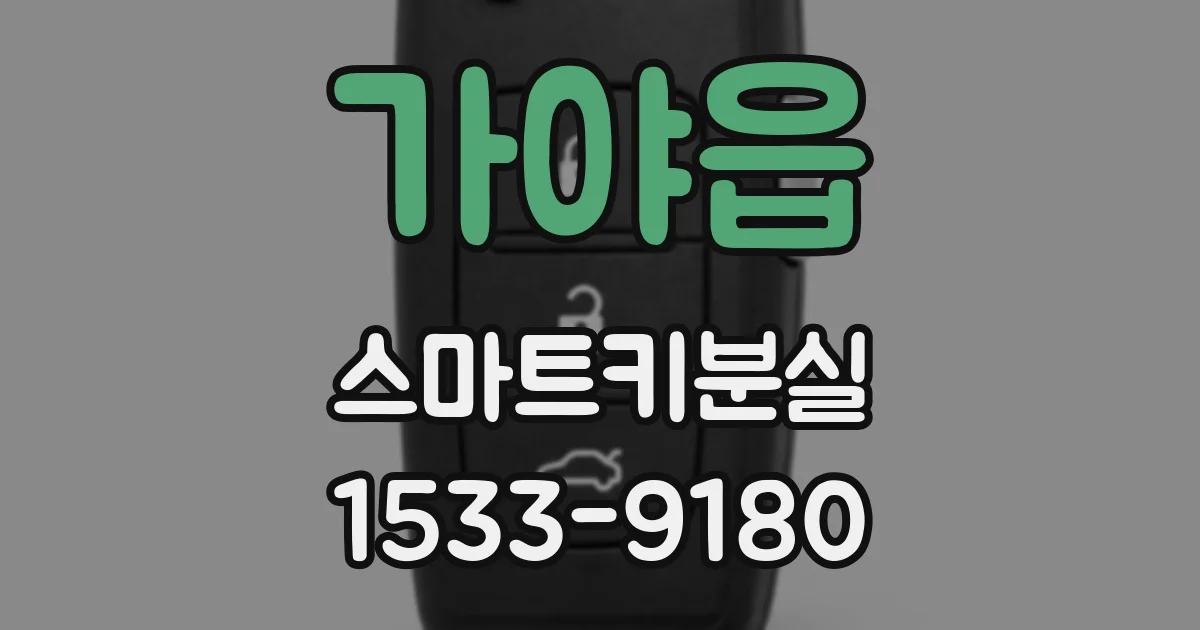 가야읍 스마트키분실