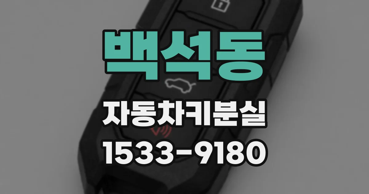 백석동 자동차키분실