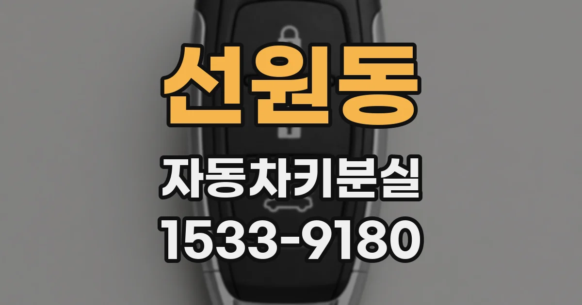 선원동 자동차키분실