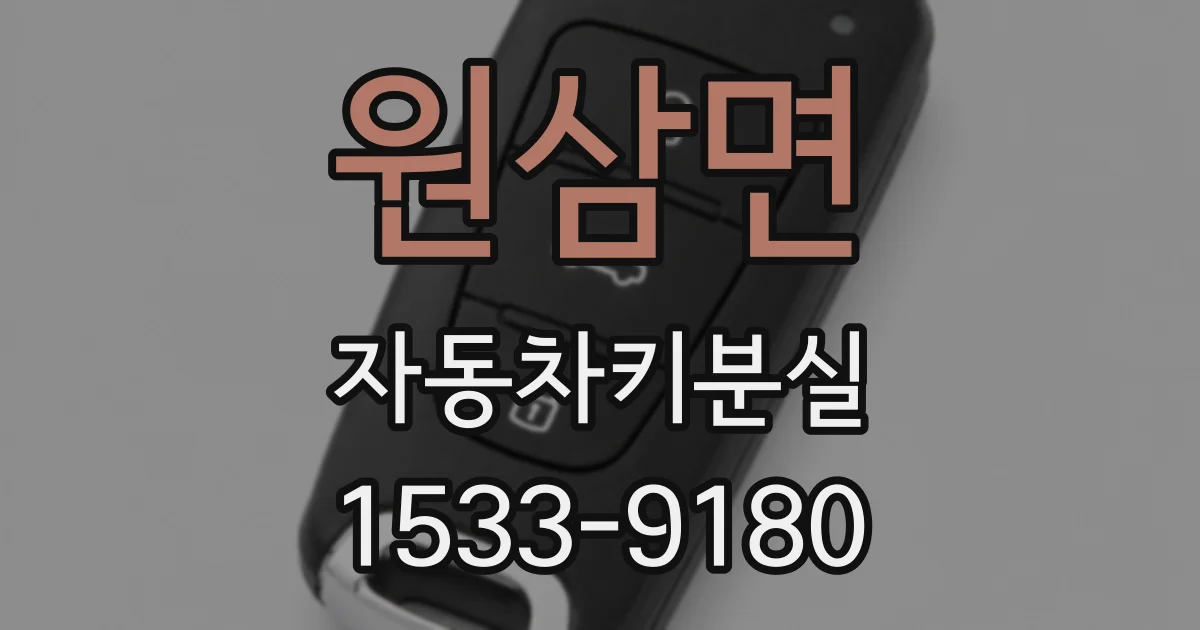 원삼면 자동차키분실
