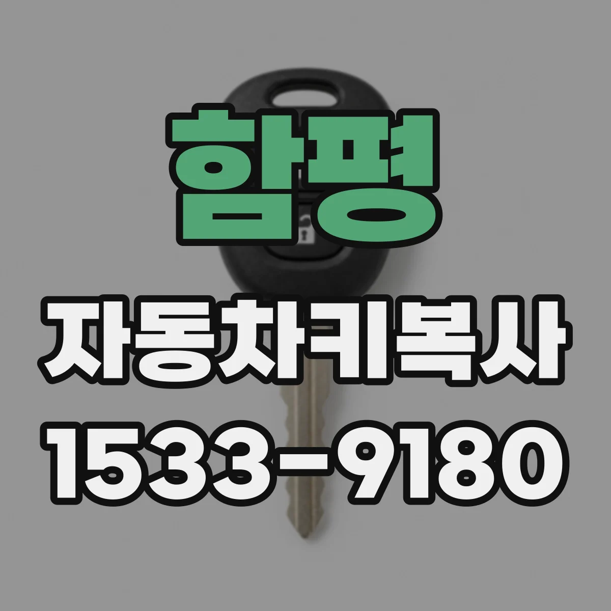 함평 자동차키복사