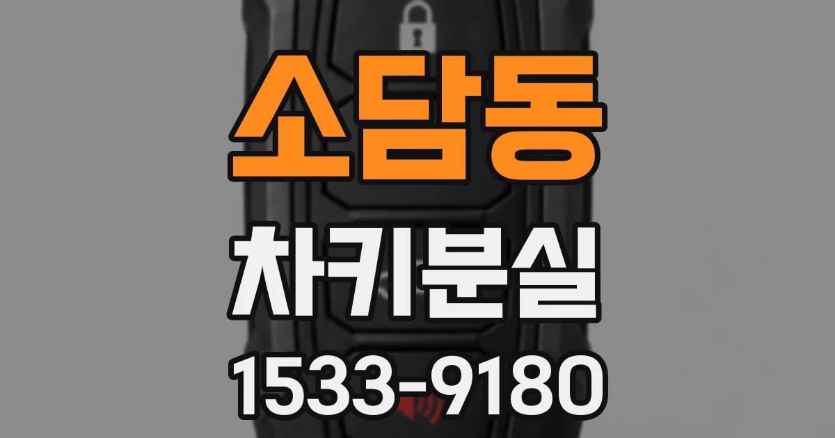 소담동 차키분실