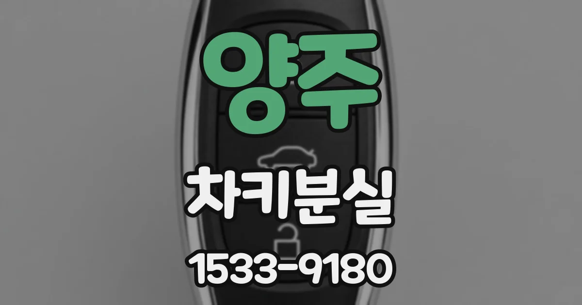 양주 차키분실