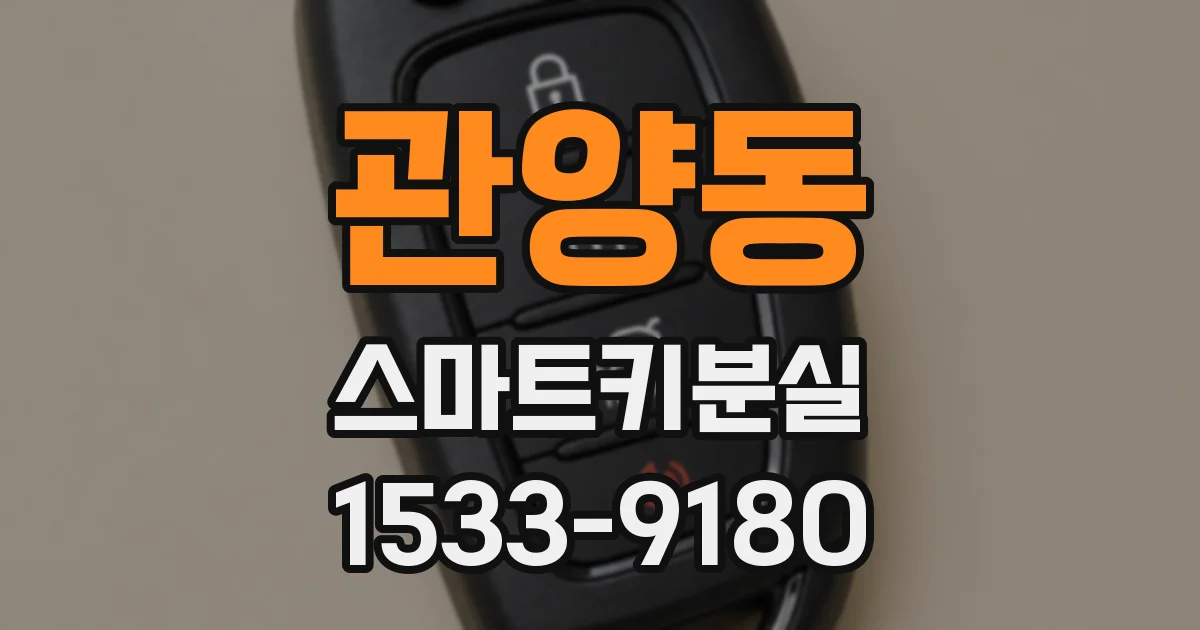 관양동 스마트키분실
