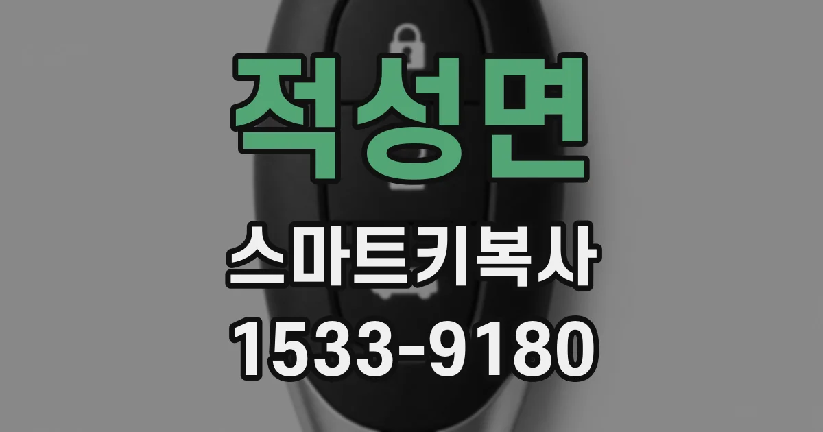 적성면 스마트키복사