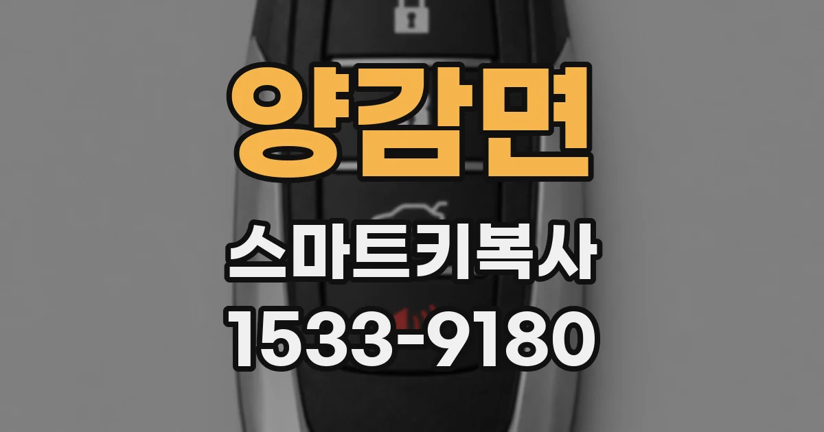 양감면 스마트키복사