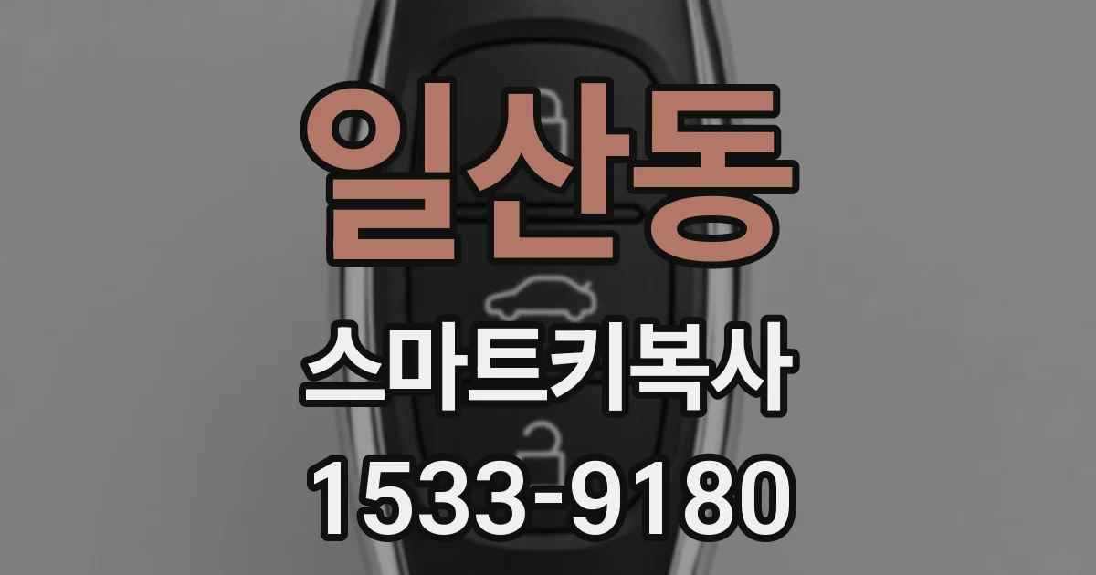 일산동 스마트키복사