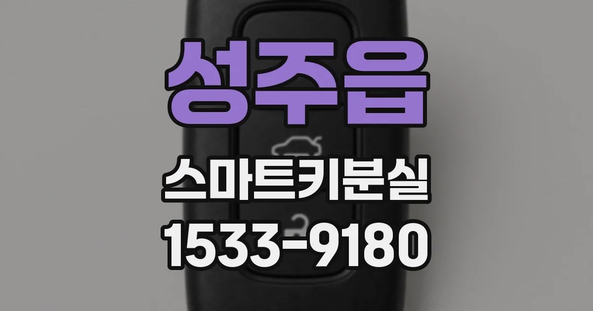 성주읍 스마트키분실