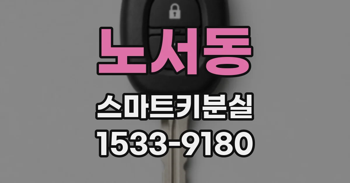 노서동 스마트키분실