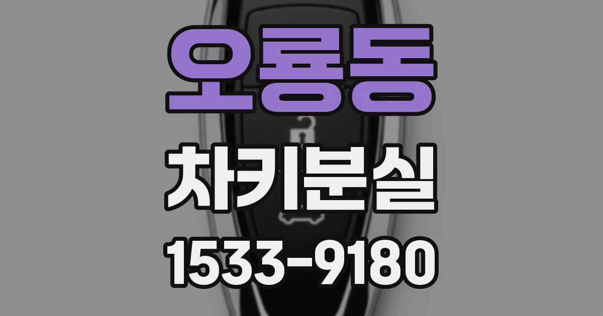 오룡동 차키분실