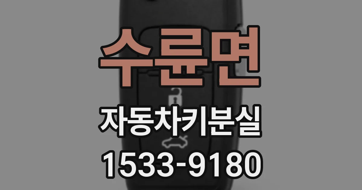 수륜면 자동차키분실