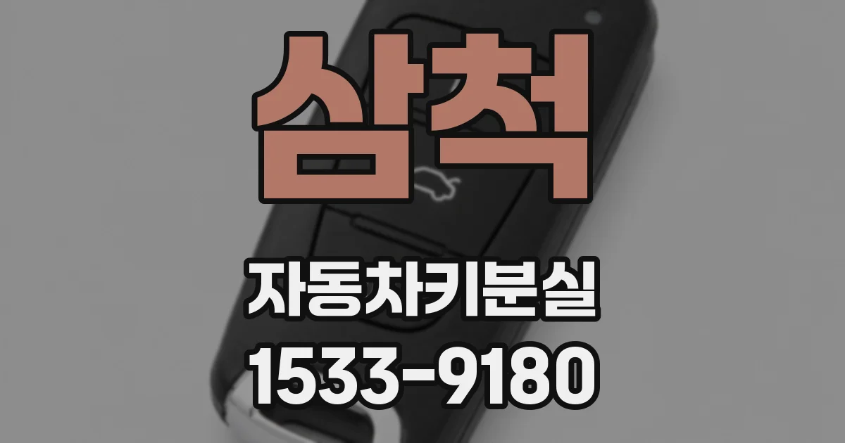 삼척 자동차키분실