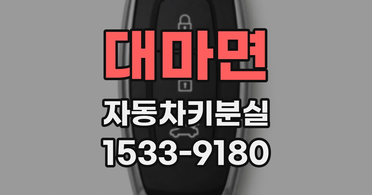 대마면 자동차키분실
