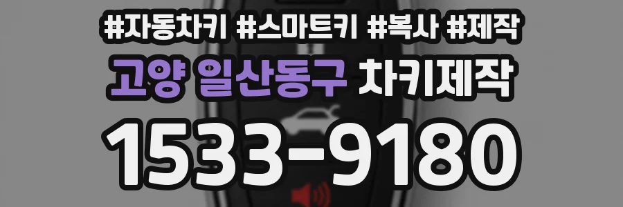 고양 일산동구 차키제작