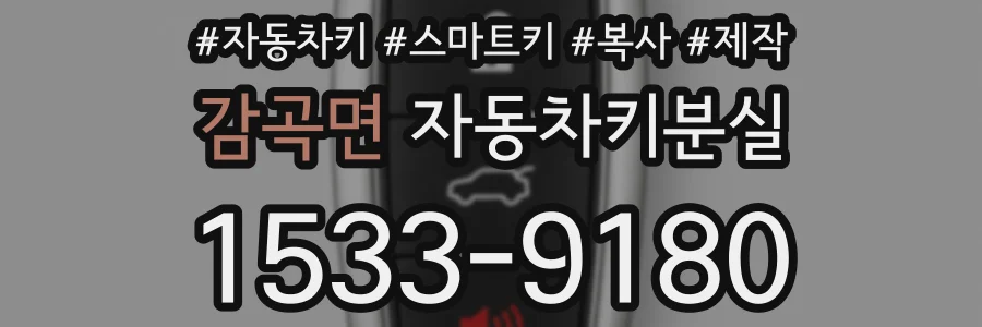 감곡면 자동차키분실