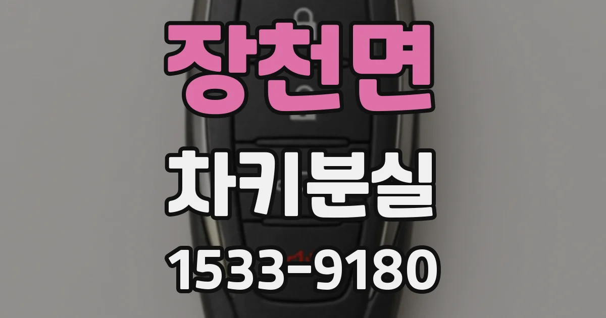 장천면 차키분실