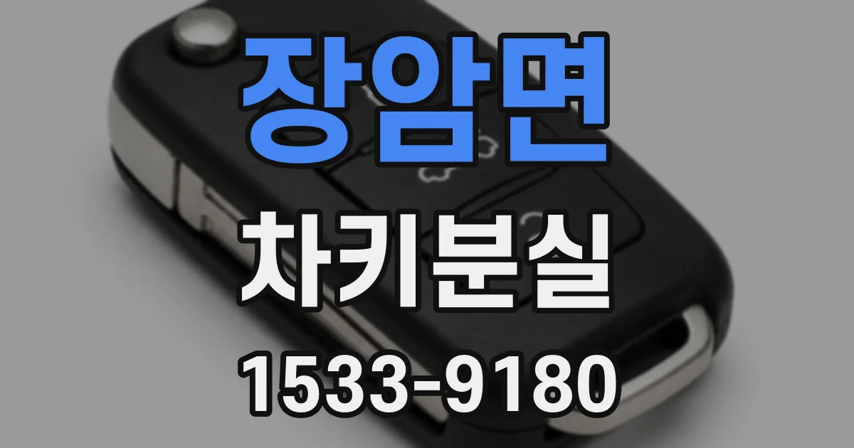 장암면 차키분실
