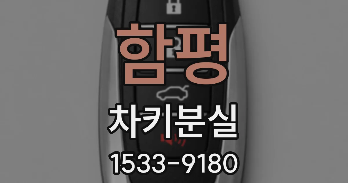 함평 차키분실