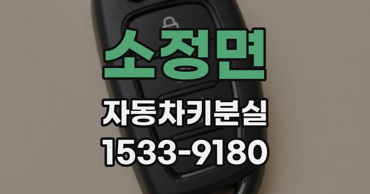 소정면 자동차키분실