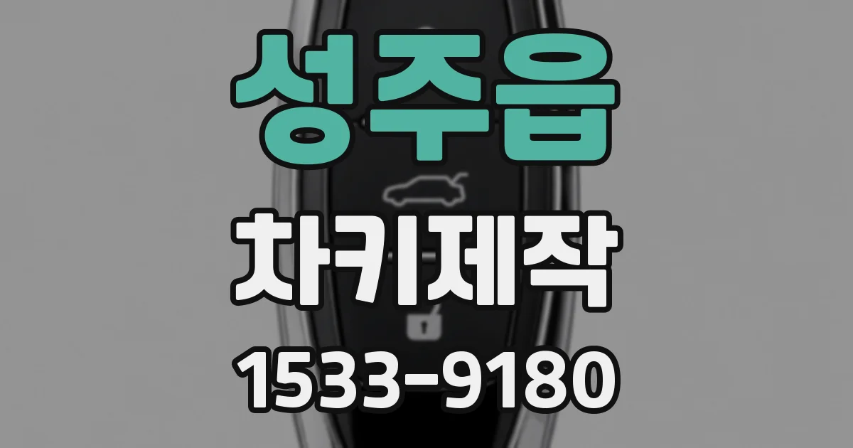 성주읍 차키제작