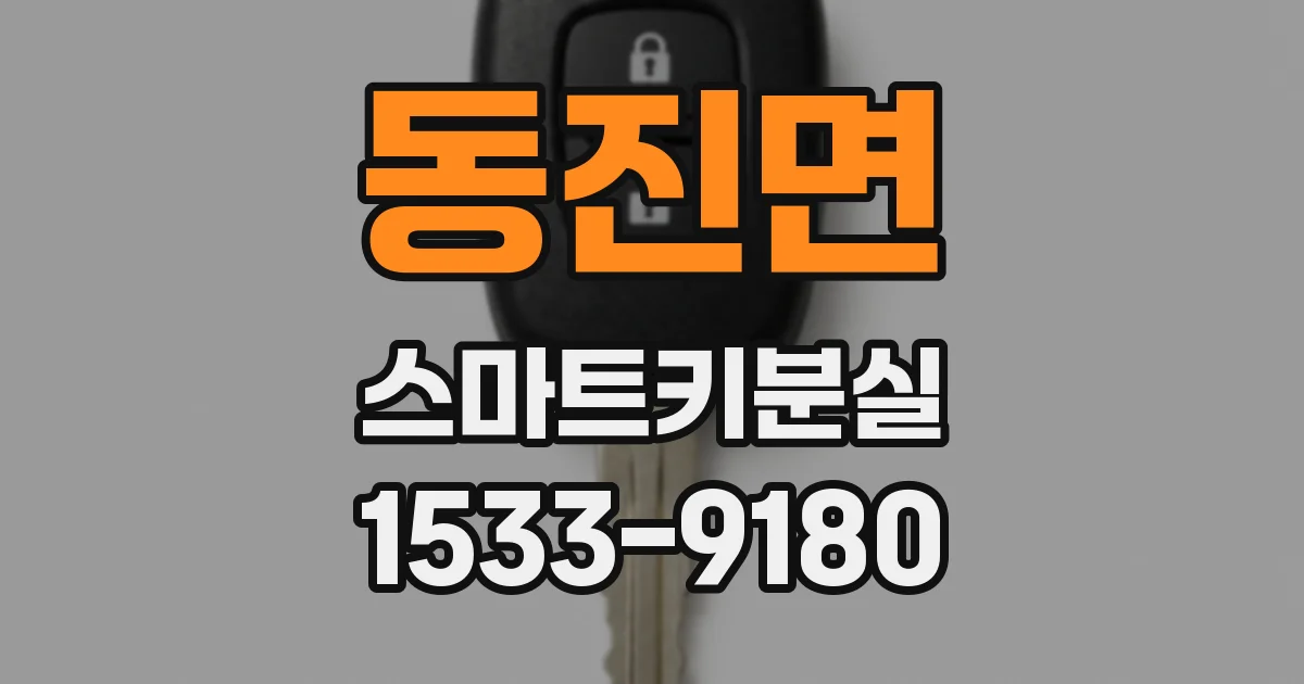 동진면 스마트키분실