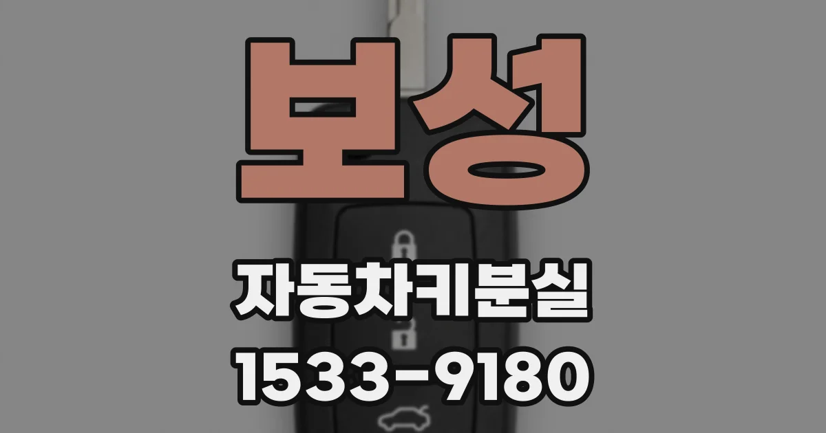 보성 자동차키분실