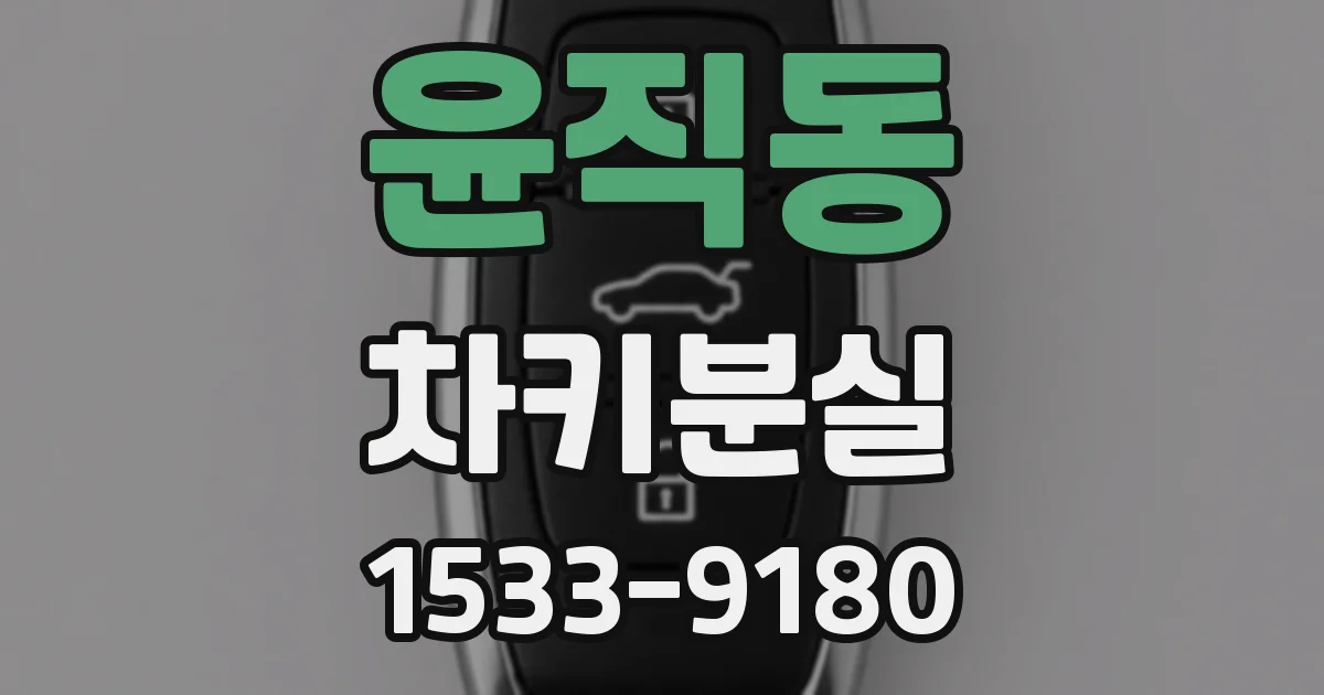윤직동 차키분실
