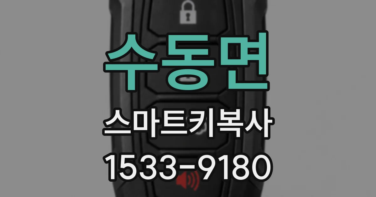 수동면 스마트키복사