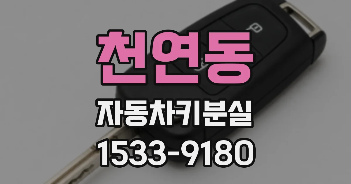 천연동 자동차키분실
