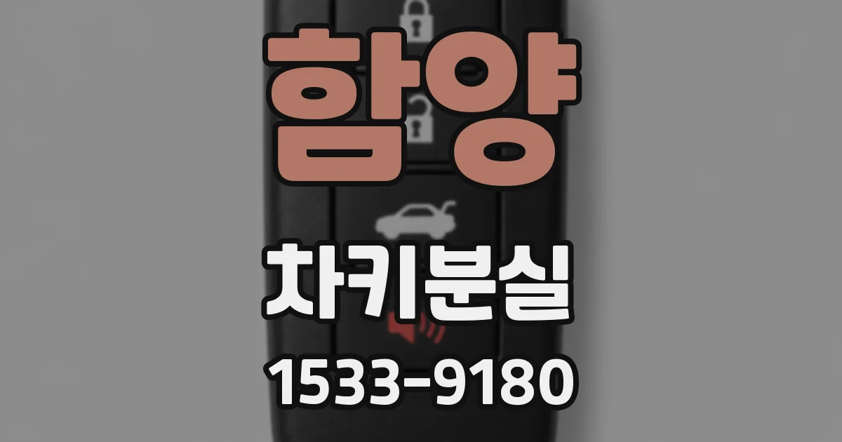 함양 차키분실