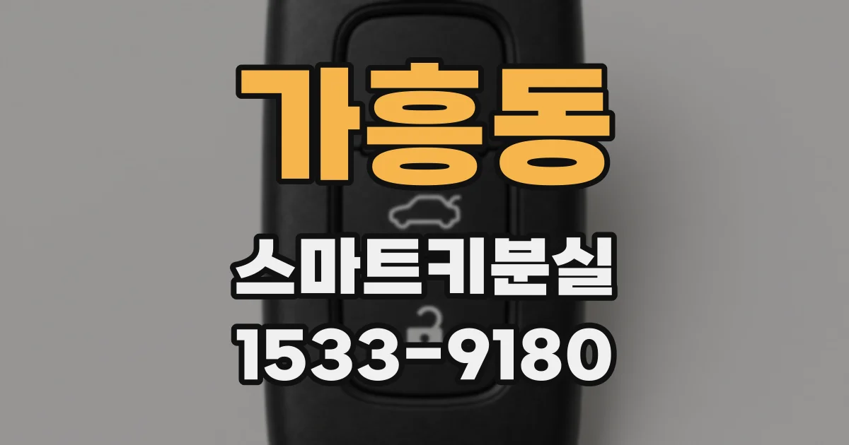 가흥동 스마트키분실