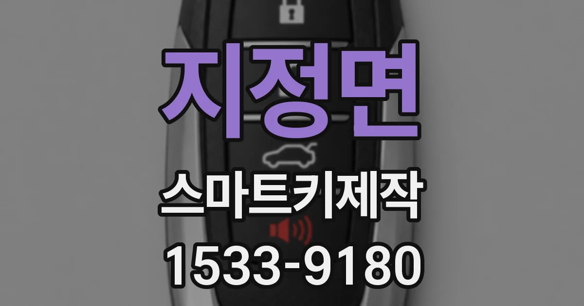 지정면 스마트키제작