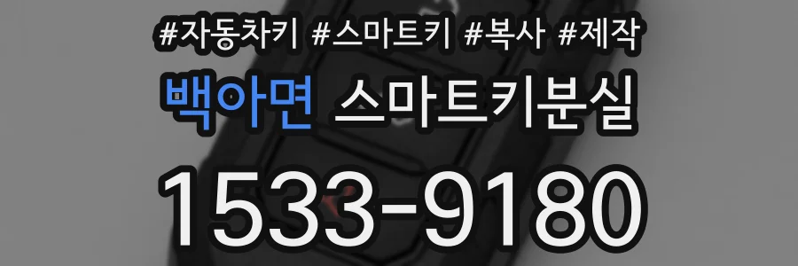 백아면 스마트키분실