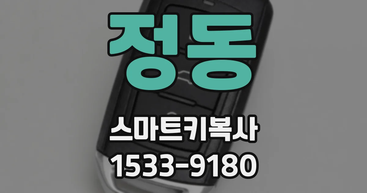 정동 스마트키복사