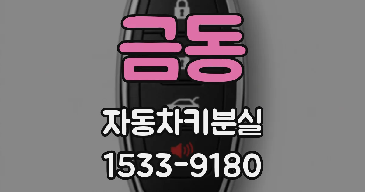 금동 자동차키분실