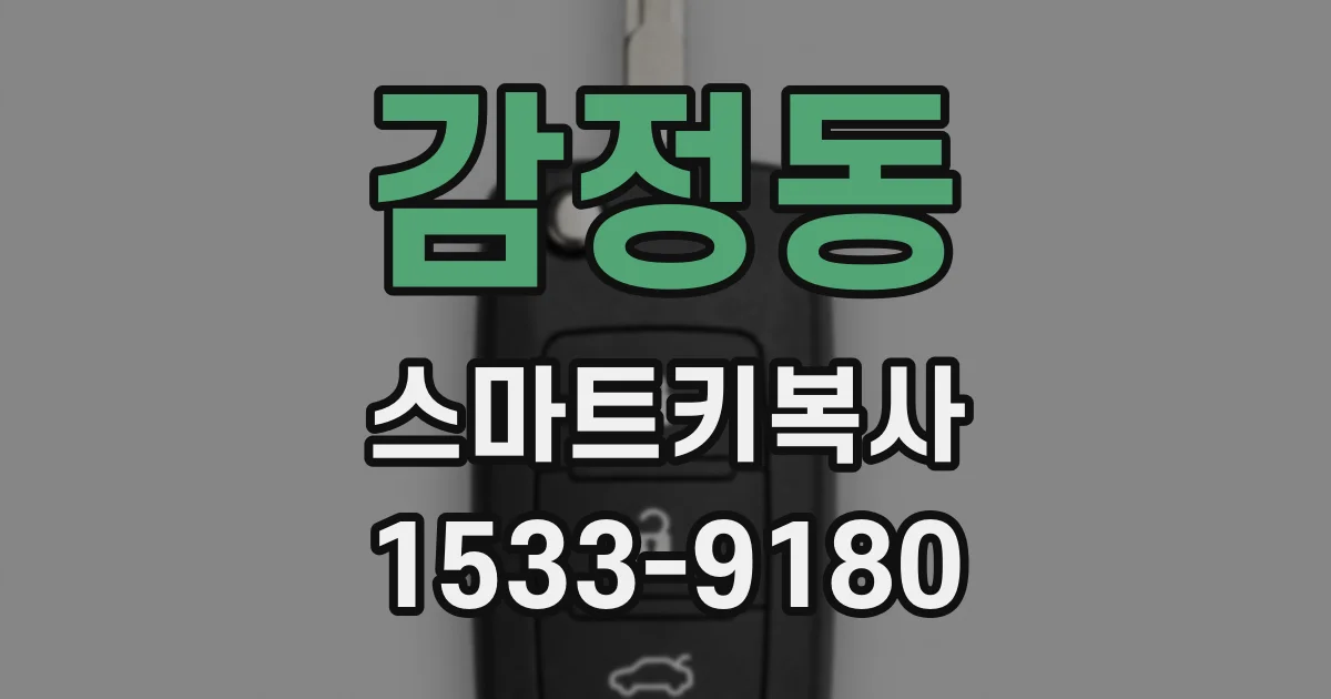 감정동 스마트키복사