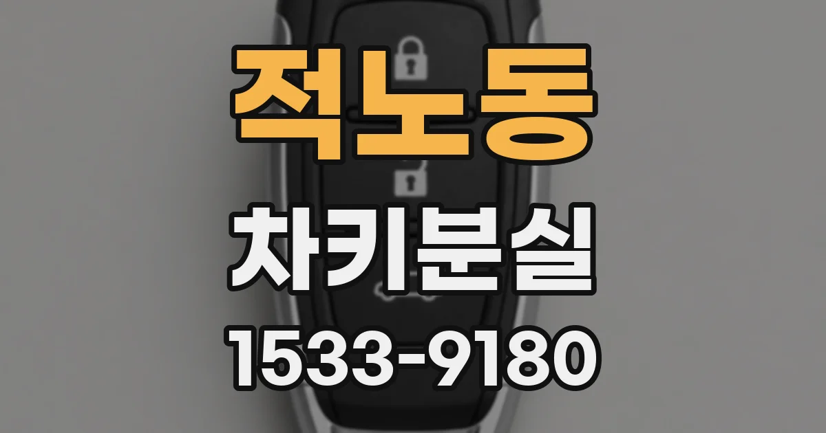 적노동 차키분실