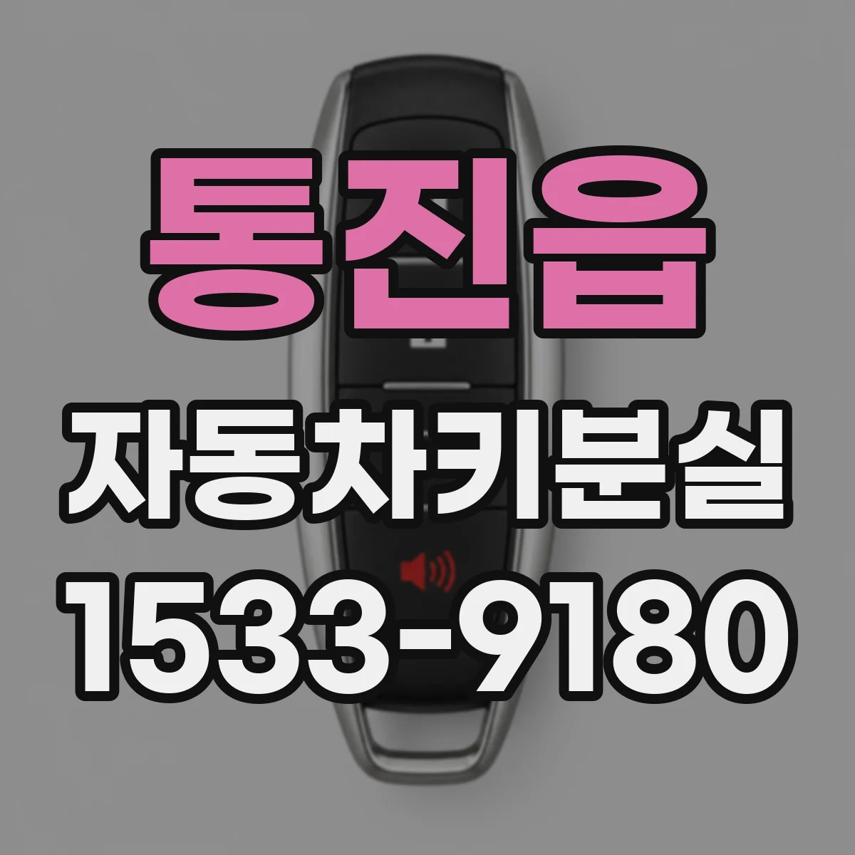 통진읍 자동차키분실